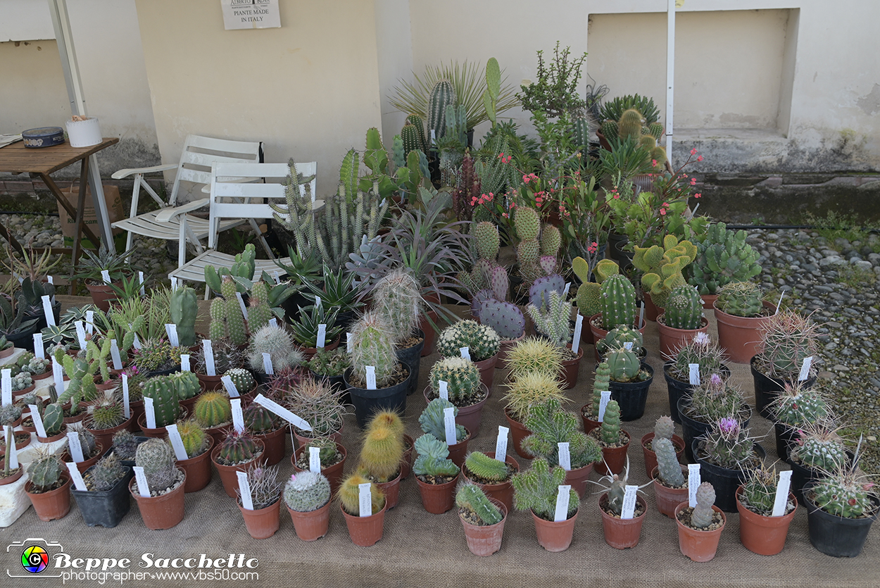 VBS_9013 - Mostra Mercato FloReal 2024.jpg